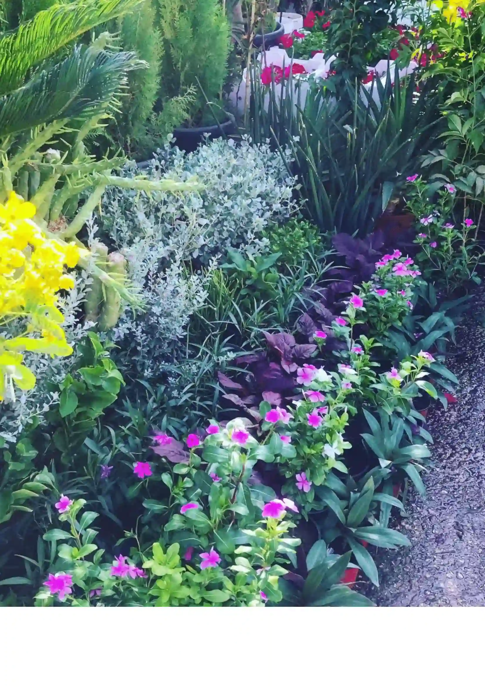 Landscaping Project 5